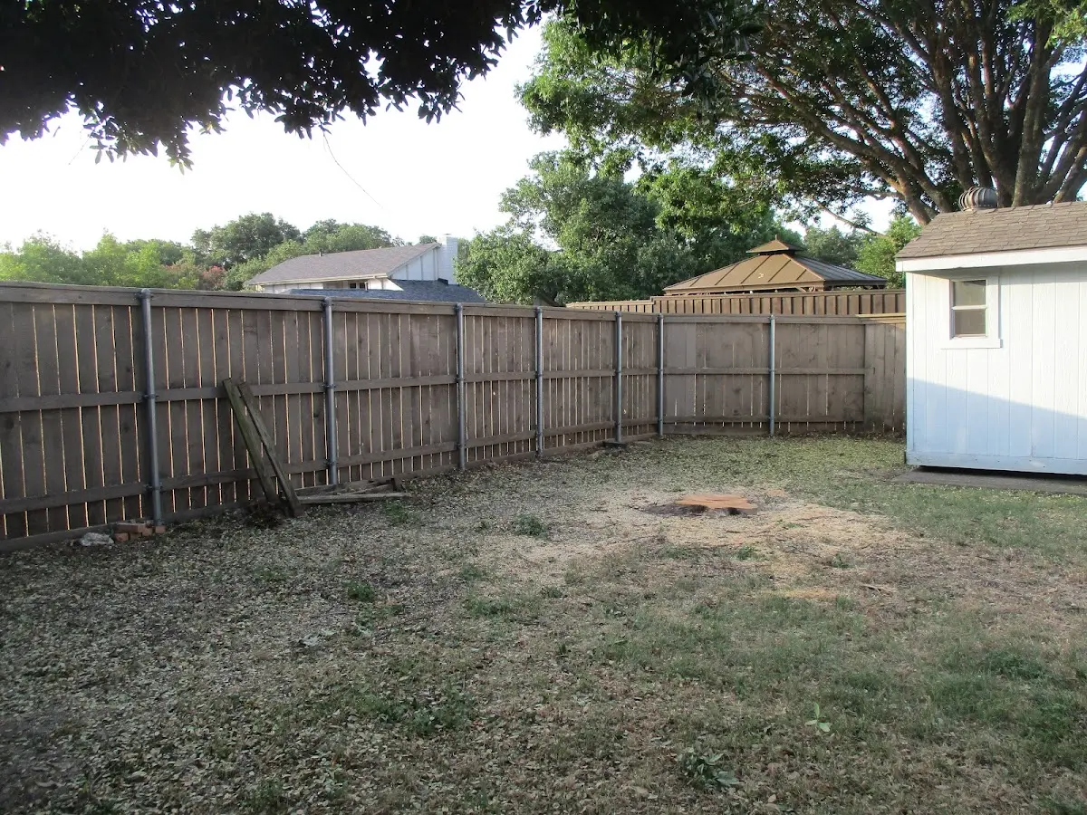 Cleared yard after professional tree removal in Schuyler Falls